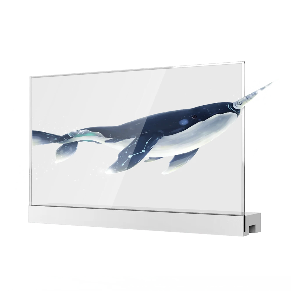 OLED transaparent screen