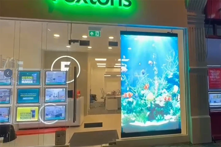 holographic LED Screen for shop